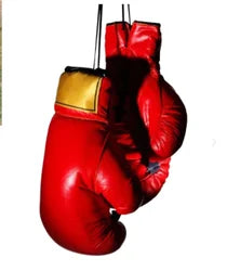Boxing Gloves